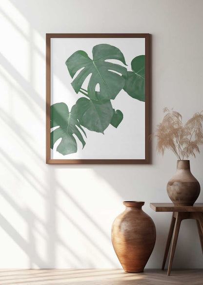 Monstera Aqua 01