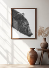 Load image into Gallery viewer, The Salmon Catcher
