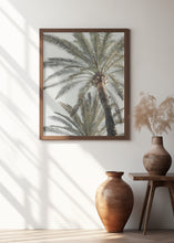 Load image into Gallery viewer, Palm_005
