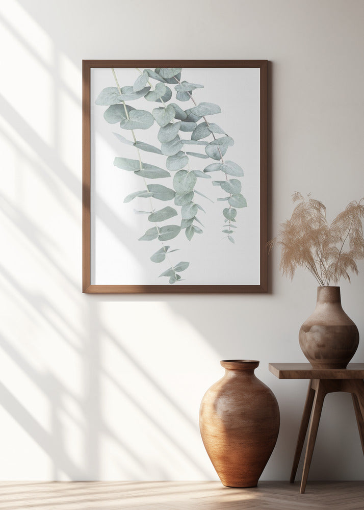 Eucalyptus I