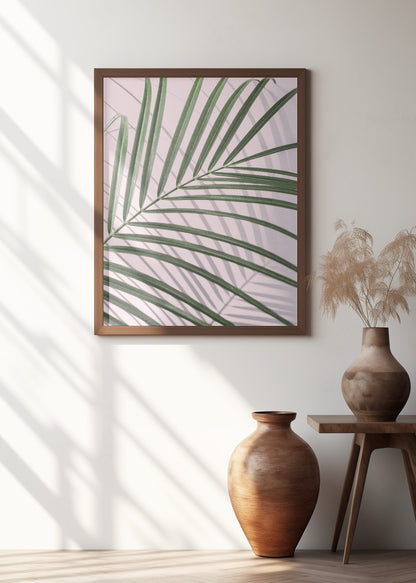 Palm Leaf Shadow
