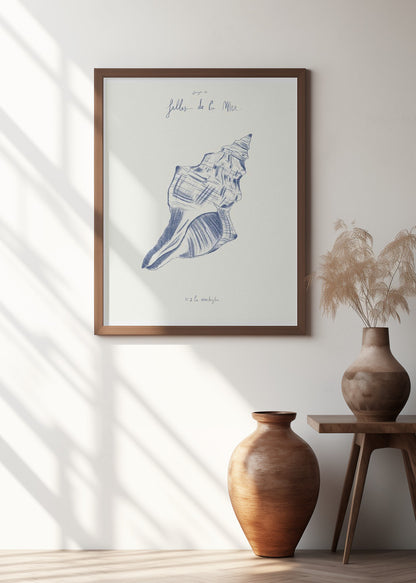 Filles de la mer n.2 - La conchiglia