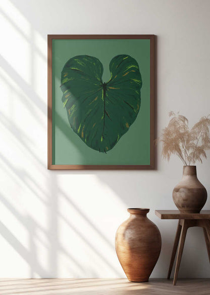 Philodendron Gloriosum Green