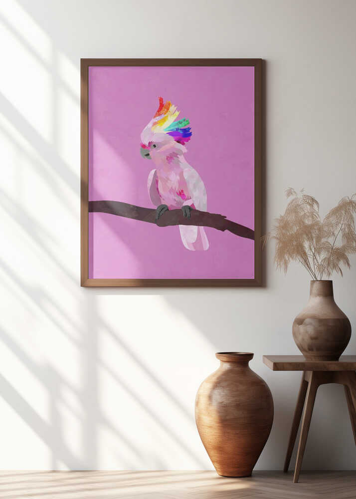 Rainbow Crest Cockatoo