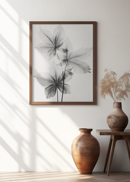 Transparent Botanic No 5 | Black and white floral wall art