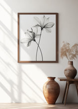 Load image into Gallery viewer, Transparent Botanic No 6 |Black and white floral wall art
