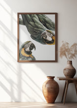Load image into Gallery viewer, Vibrant Parrot Duo | Bird wall art
