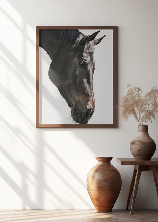 Gentle Equine Gaze | Horse wall art