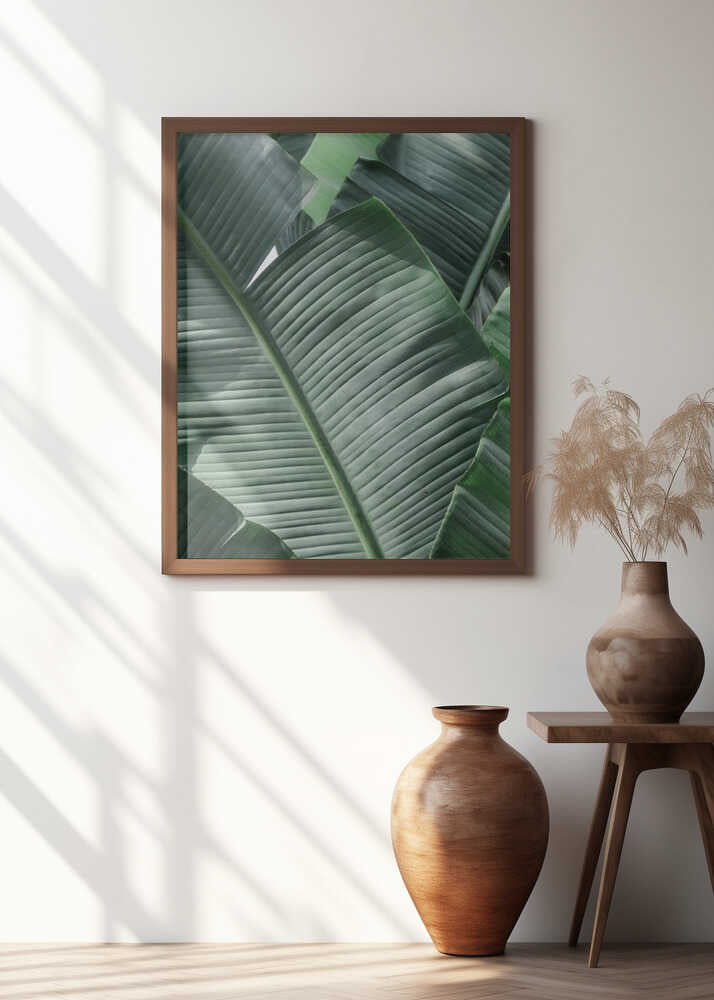 Lush Tropical Leaves