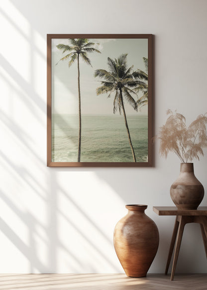 Sea Breeze