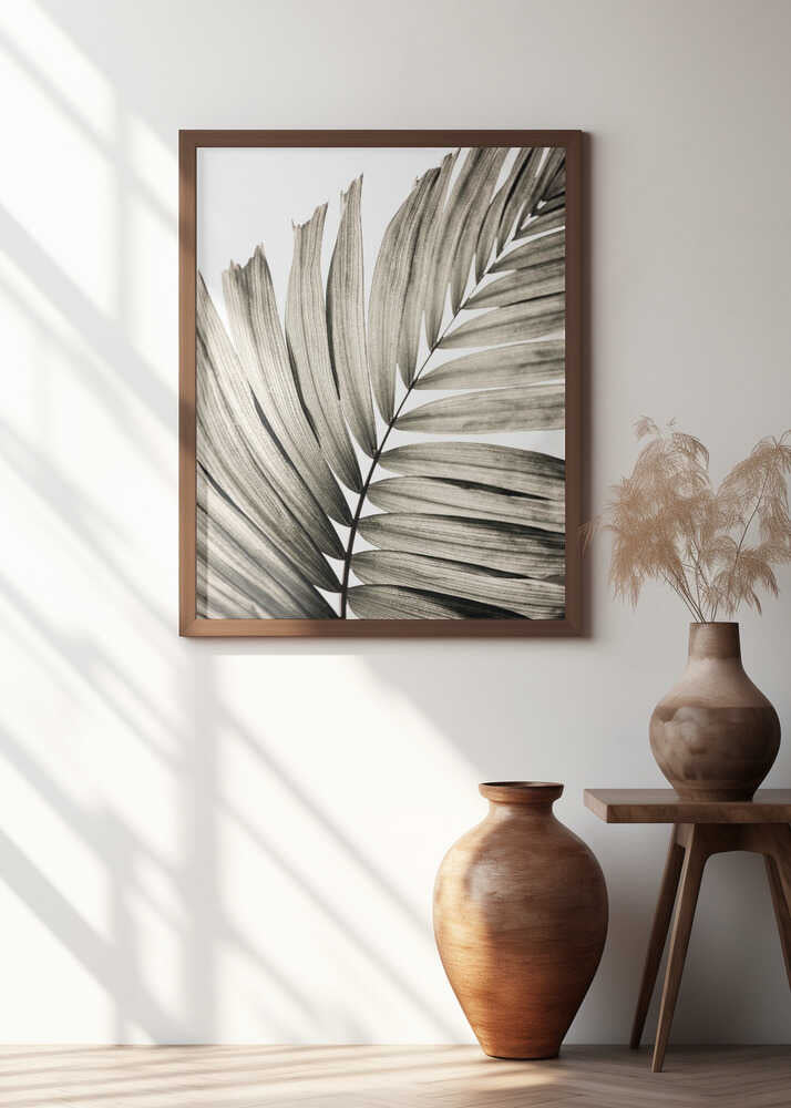 Abstract Palm Frond