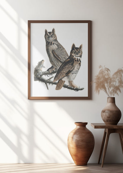 Great Horned Owl From Birds of America (1827)