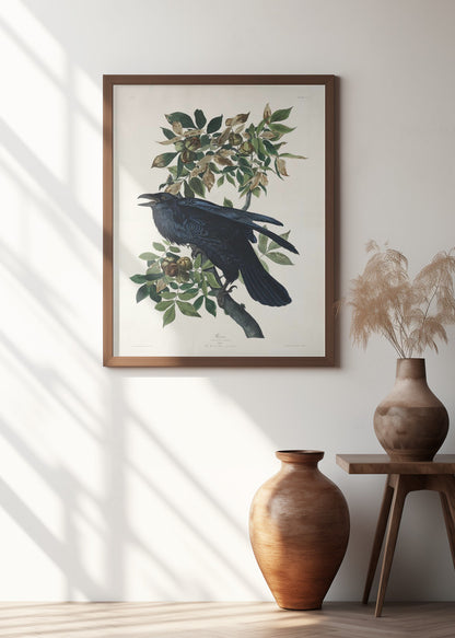 Raven From Birds of America (1827)