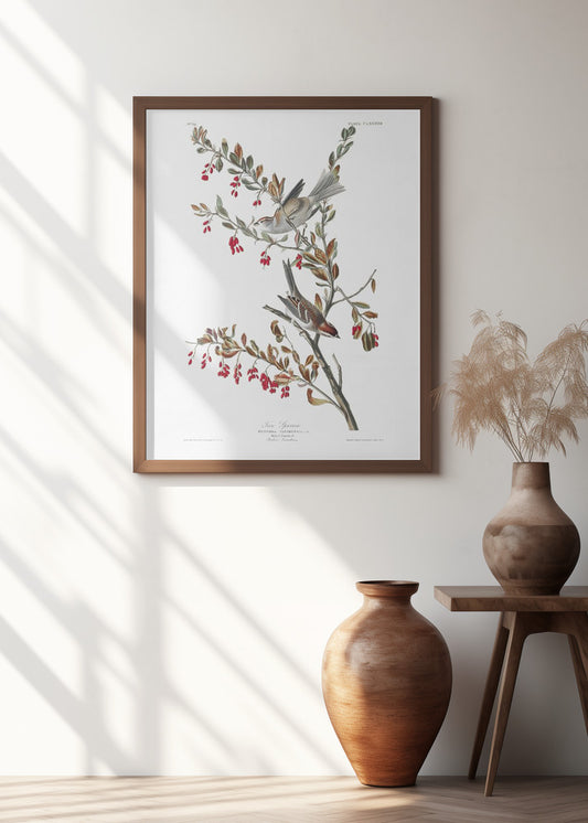 Tree Sparrow From Birds of America (1827) | Bird wall art