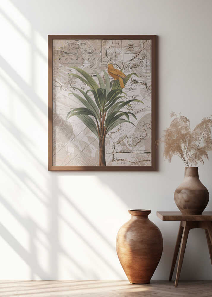 Tropical Map Bird