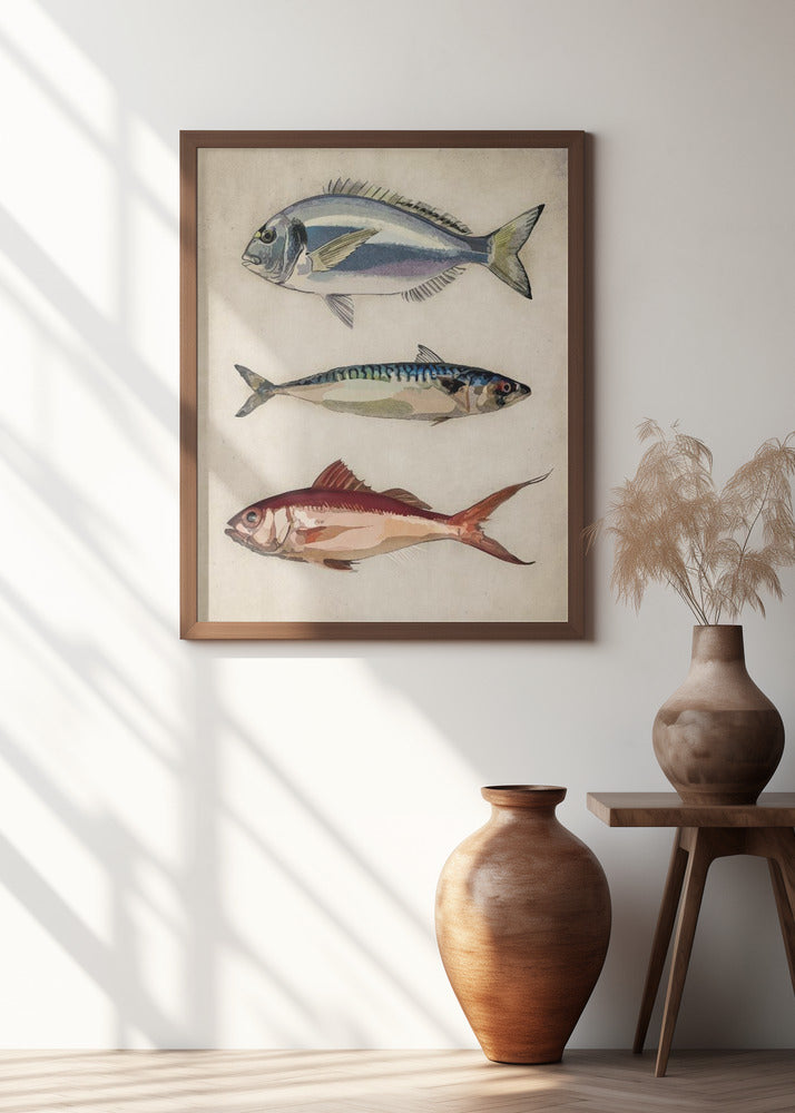 Trio of Ocean Life