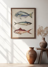 Load image into Gallery viewer, Trio of Ocean Life
