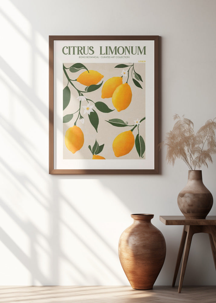 Citrus Limonum - Lemon
