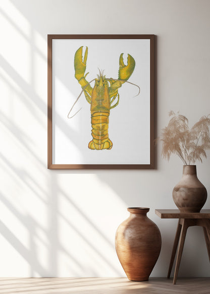 Lobster