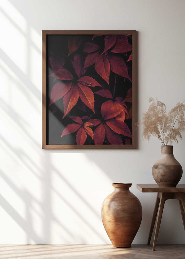Dark Leaves 7X