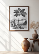 Load image into Gallery viewer, Vintage Palm Tree Drawing I
