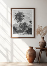 Load image into Gallery viewer, Vintage Palm Tree Drawing V
