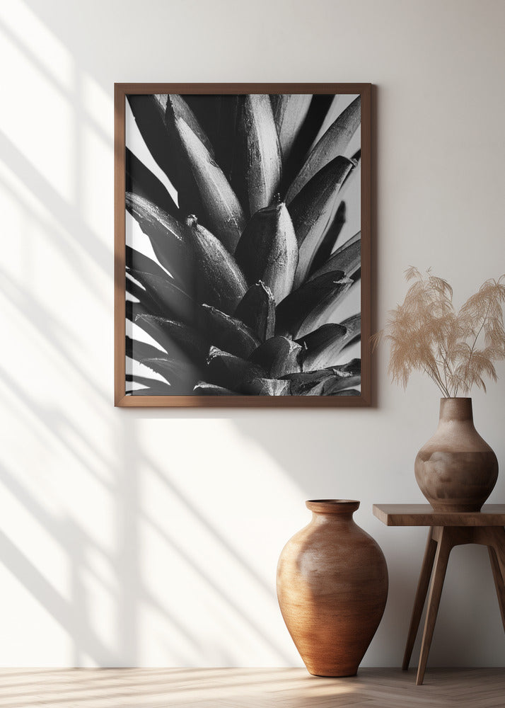 Pine B&w