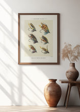Load image into Gallery viewer, Salmon Fliee 1892
