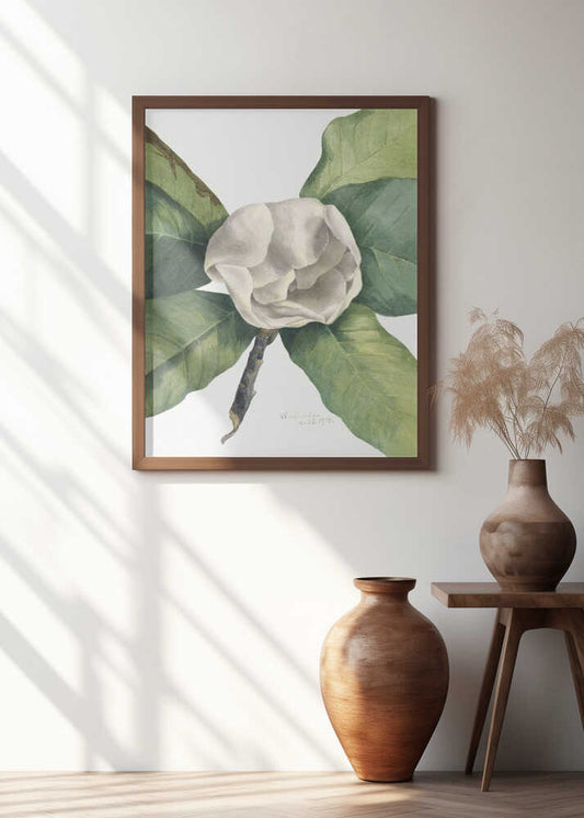 Southern Magnolia (1918)