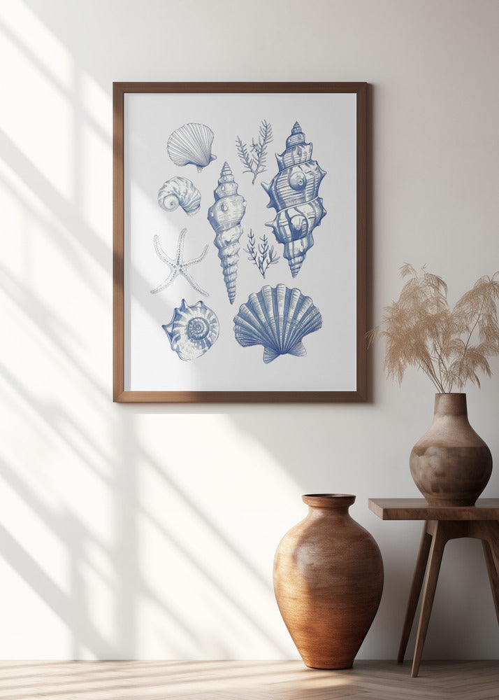 Shell Collage