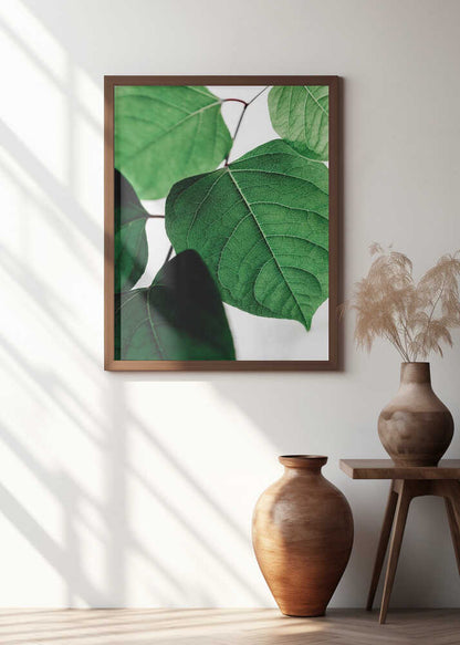 Fresh Leaf Details