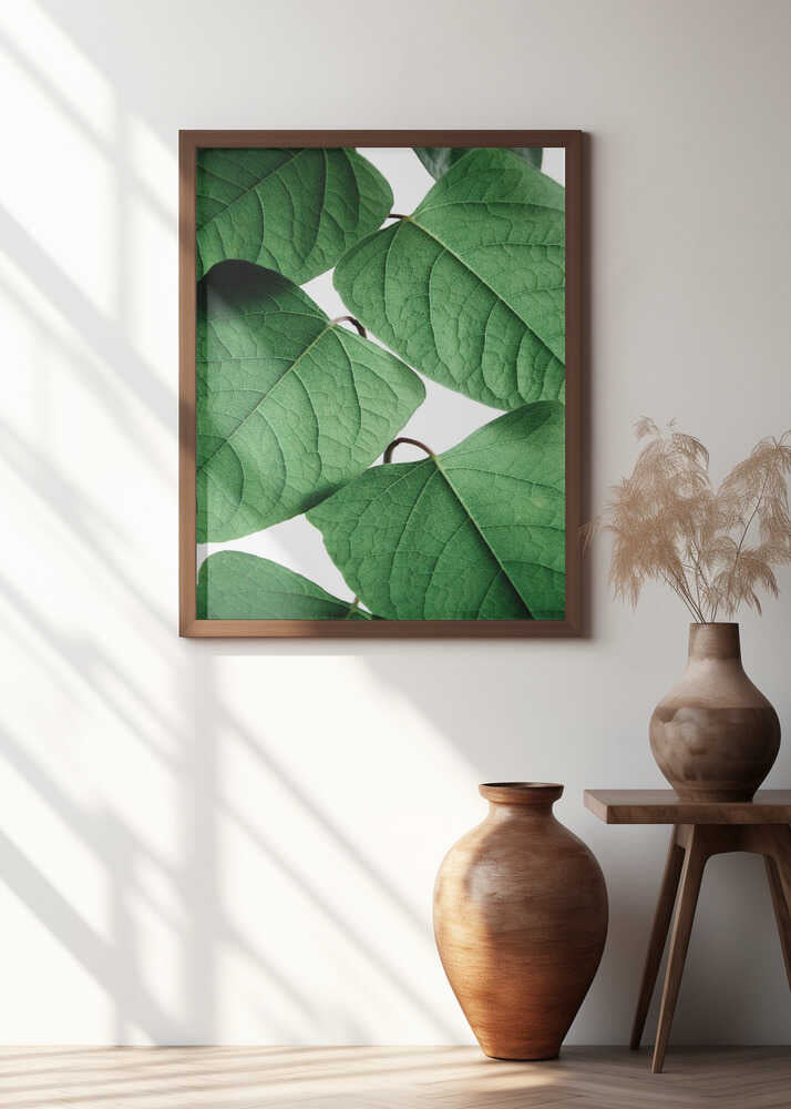 Fresh Green Leaves