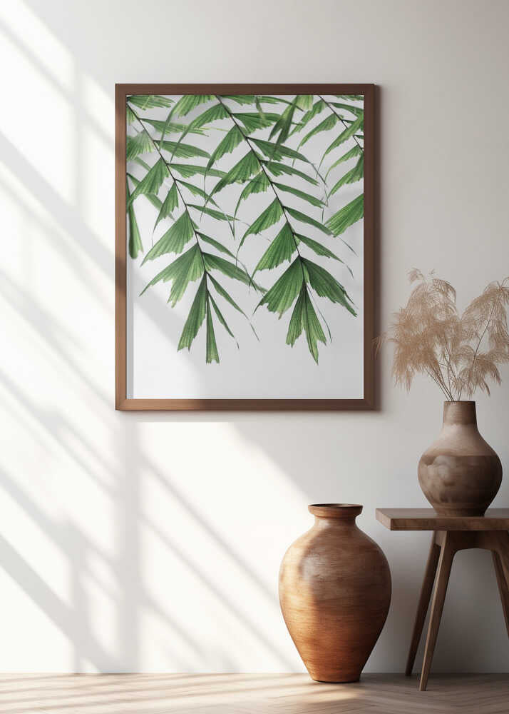Tropical Palm Leaves