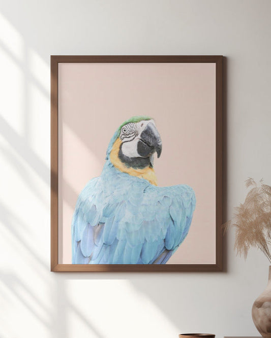 Blue Macaw | Blue parrot wall art