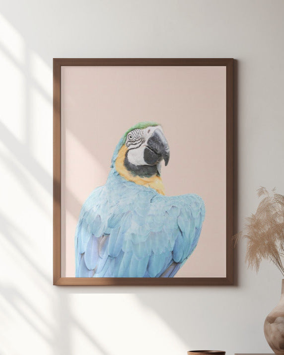 Blue Macaw | Blue parrot wall art