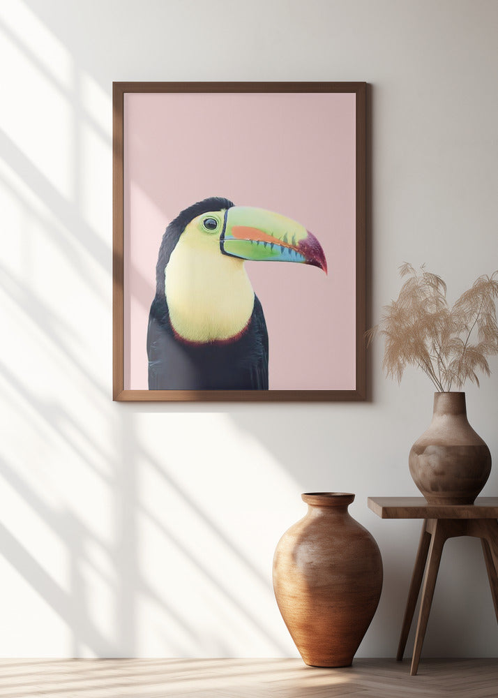 Toucan on Pink | Bird wall art