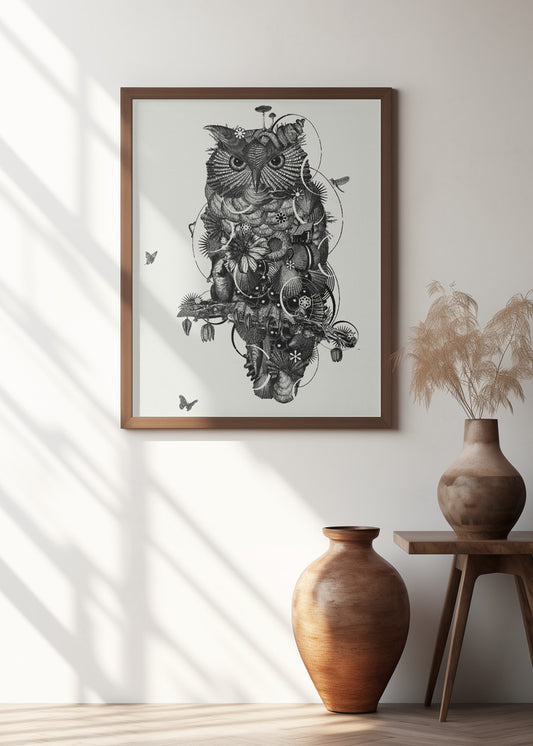 Owl