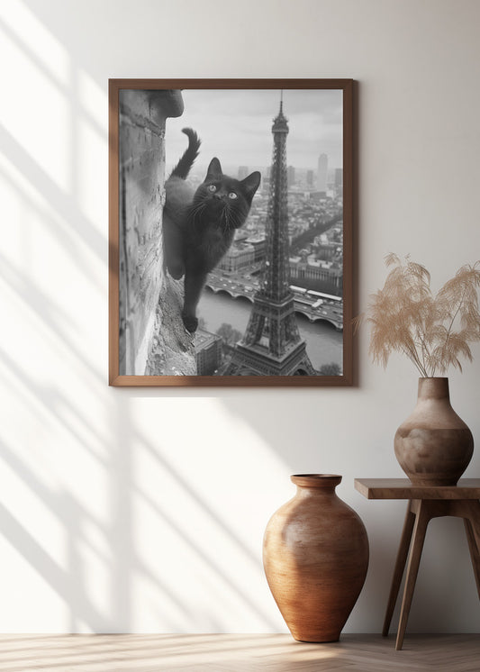 Kitty in Paris