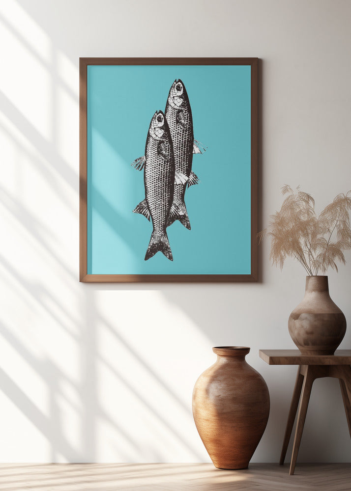 Sardinas