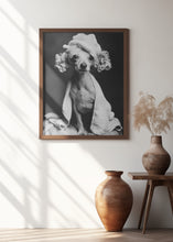 Load image into Gallery viewer, Spa Day Pooch
