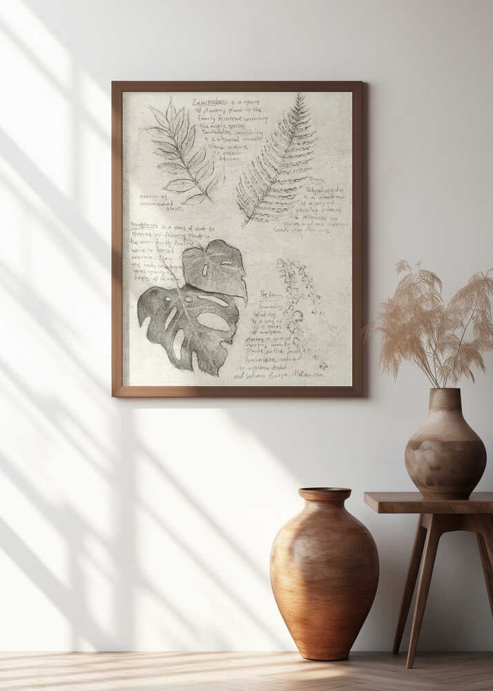 Pencil Sketches Of Various Plant Leaves