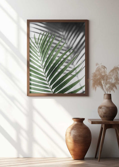 Green Palm Shadow