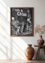 Load image into Gallery viewer, Hungry Kittens
