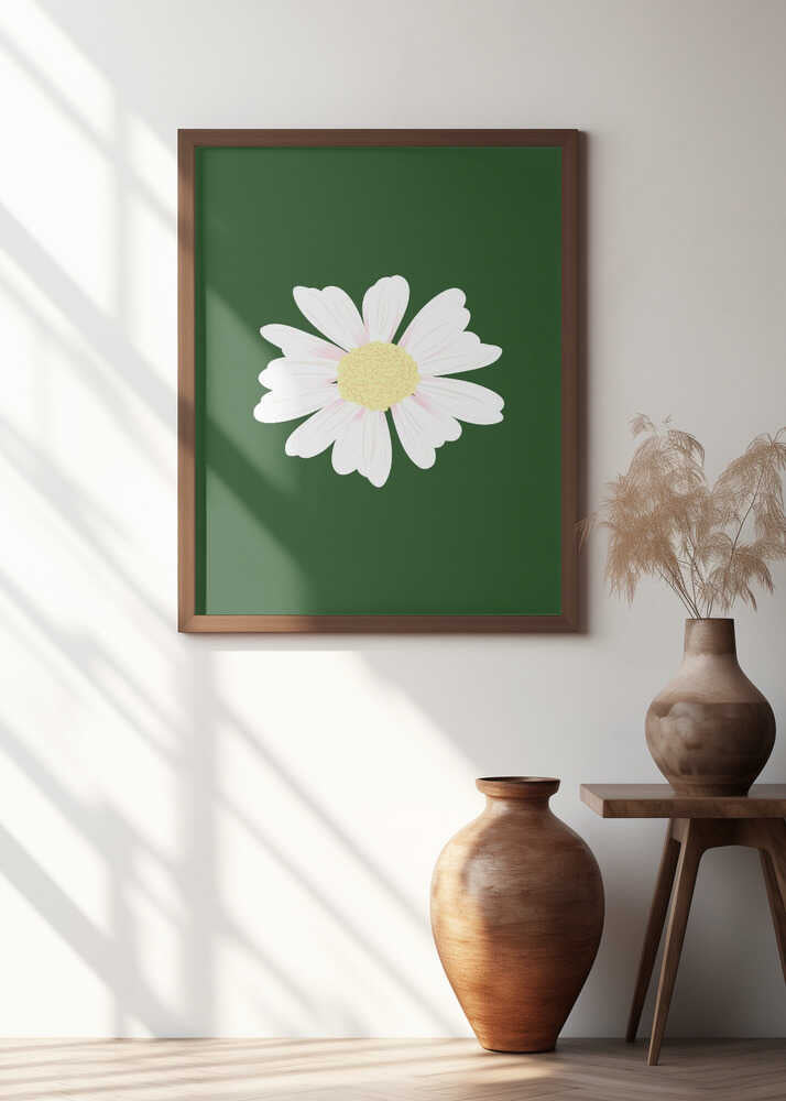 White Daisy Bloom