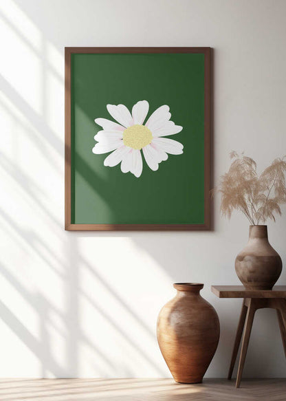 White Daisy Bloom
