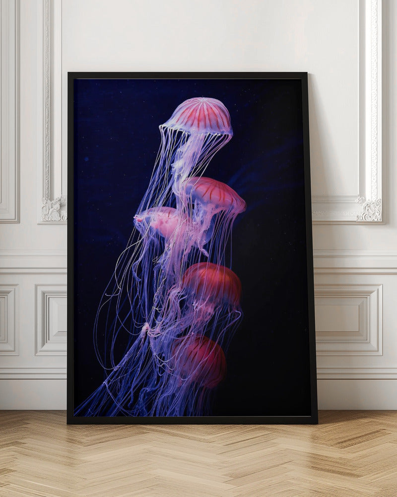Entangled Jelly Fish Wall Art Print | Luxury Bathroom Print