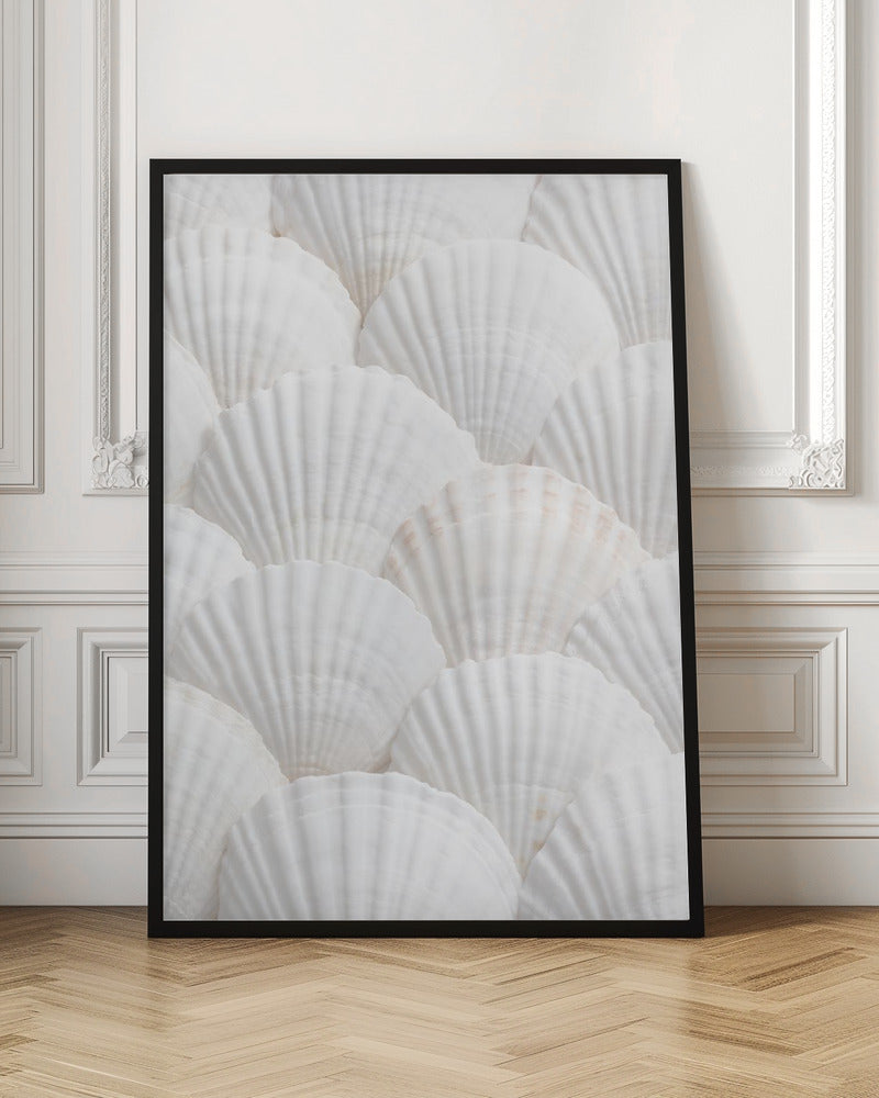 Shells_3