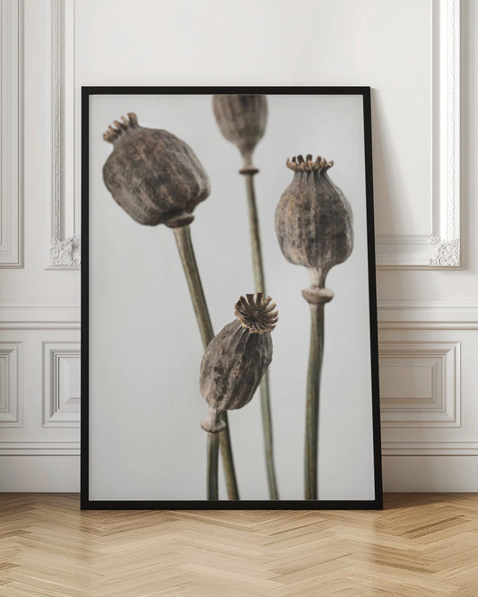 Dried Flowers Photographic Art Print Vol 2