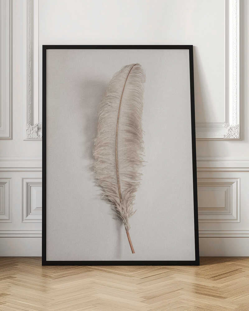 Feather_002