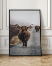 Load image into Gallery viewer, Highland Cow Photographic Art | Scotland Art

